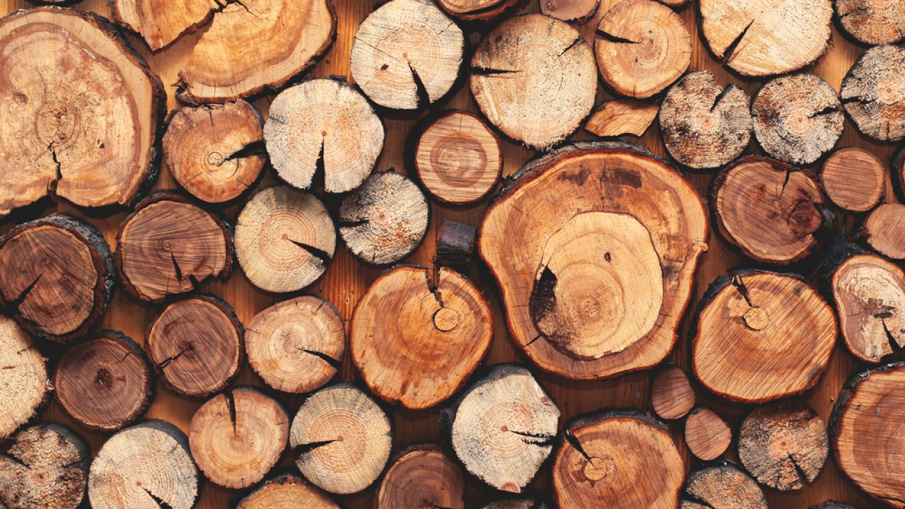 خصوصیات هر نوع چوب
